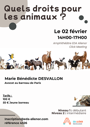 Formation 4325 - 02/02/2026