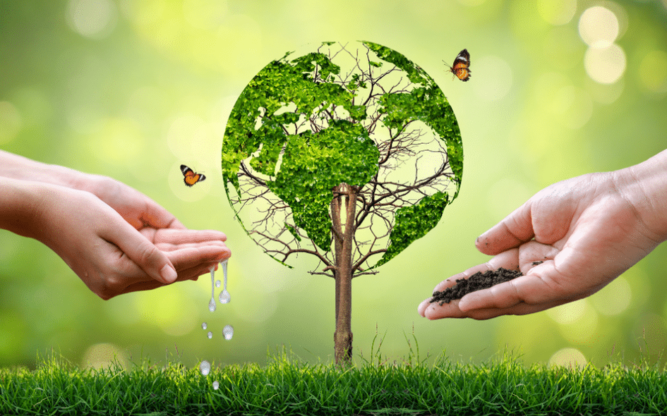 Classe virtuelle   cycle : les fondamentaux du droit de l'environnement l'avocat face à la diversité des acteurs du droit de l'environnement